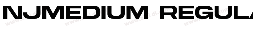 NJMedium Regular字体转换